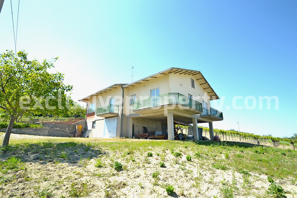Huge house with terrace and land with 21 nuts plants for sale in Abruzzo