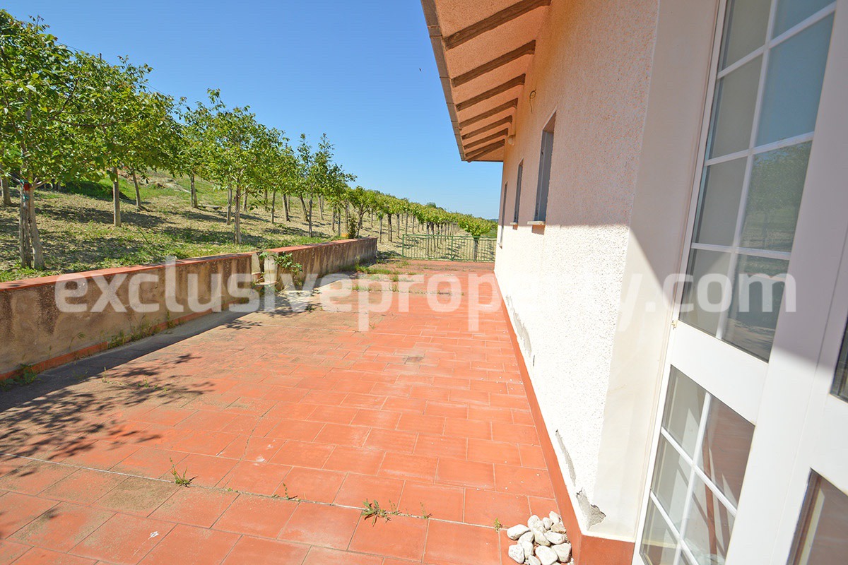 Huge house with terrace and land with 21 nuts plants for sale in Abruzzo