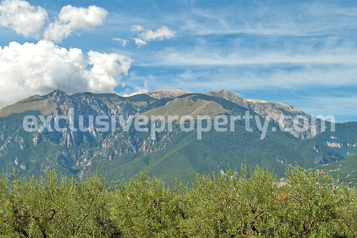 Country house with olive grove for sale in southern Abruzzo - Guardiagrele