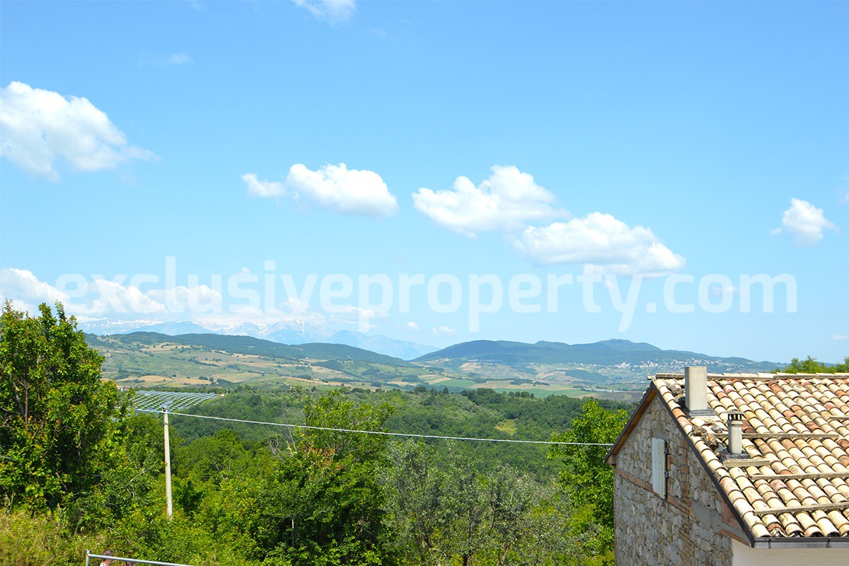 Large property with flat garden for sale in Roccaspinalveti - Abruzzo 18