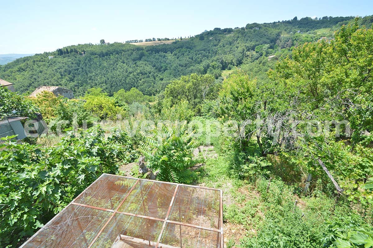 Typical Italian house with garden and terrace for sale in Molise - Italy