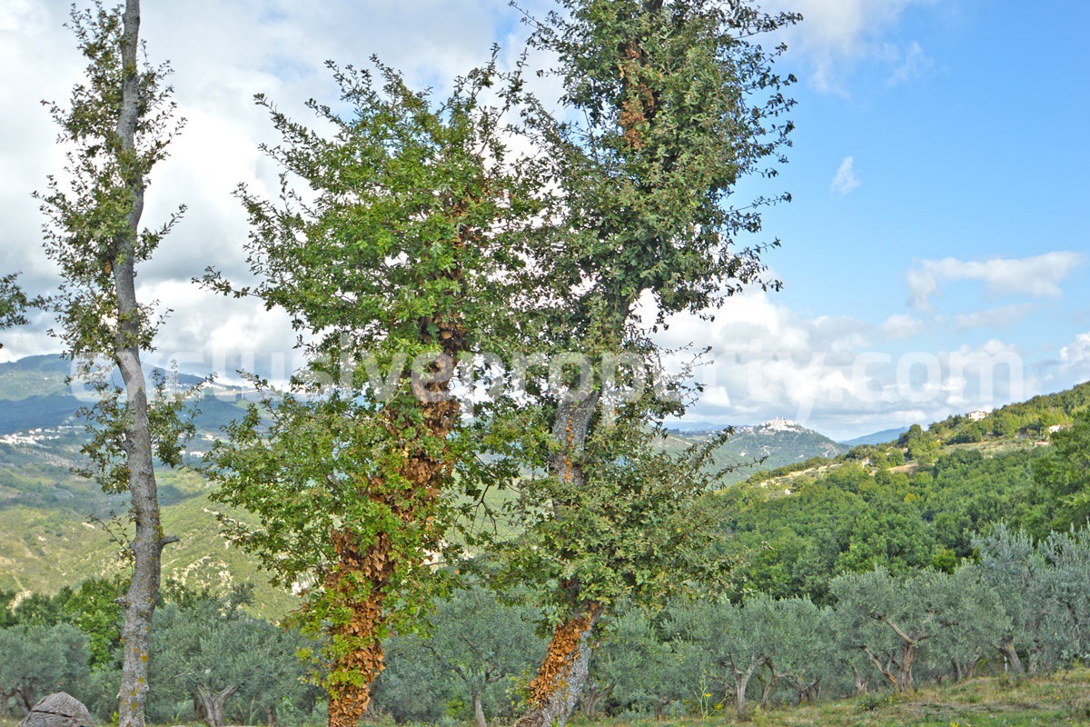 Spacious house with panoramic view of the valley for sale in Italy 29