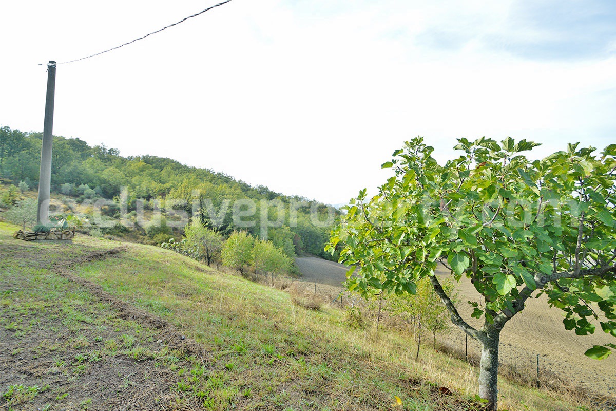 Move in Property for sale in Abruzzo countryside - Italy