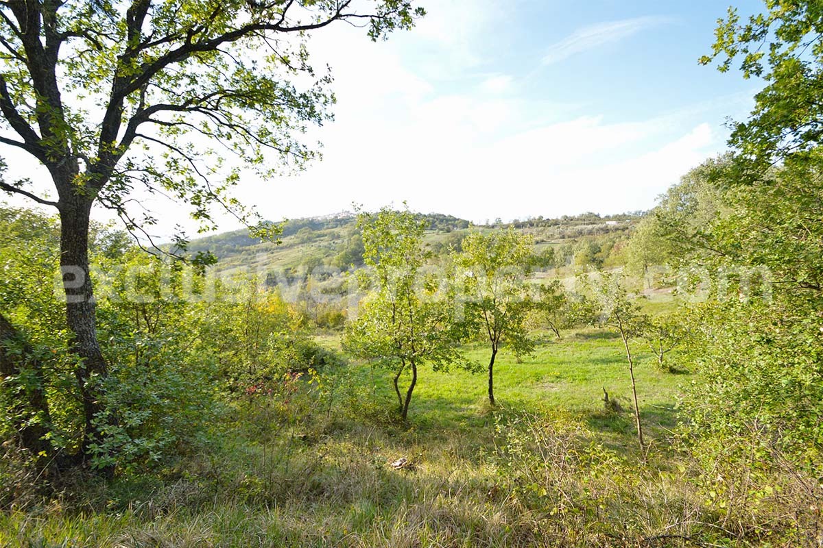 Stand alone stone house with land for sale in Abruzzo