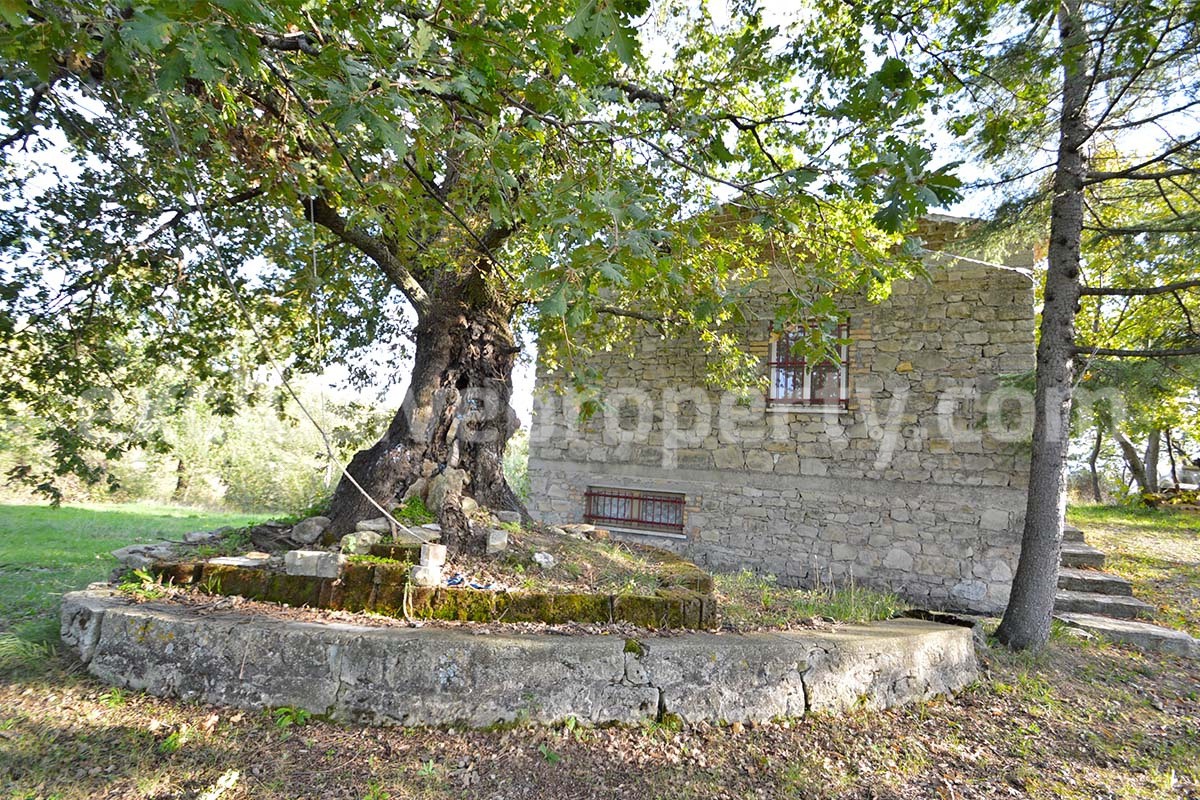 Stand alone stone house with land for sale in Abruzzo