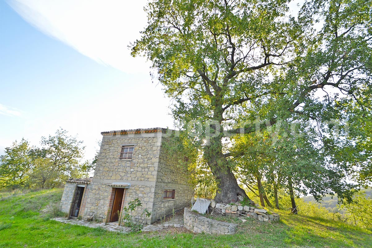 Stand alone stone house with land for sale in Abruzzo