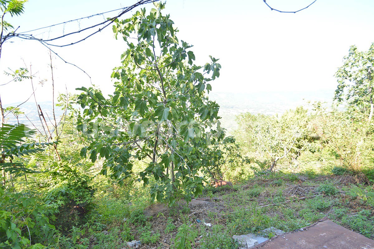 Large Town House with Panoramic Terraces - Garden - Cellar for Sale in Roccavivara - Molise