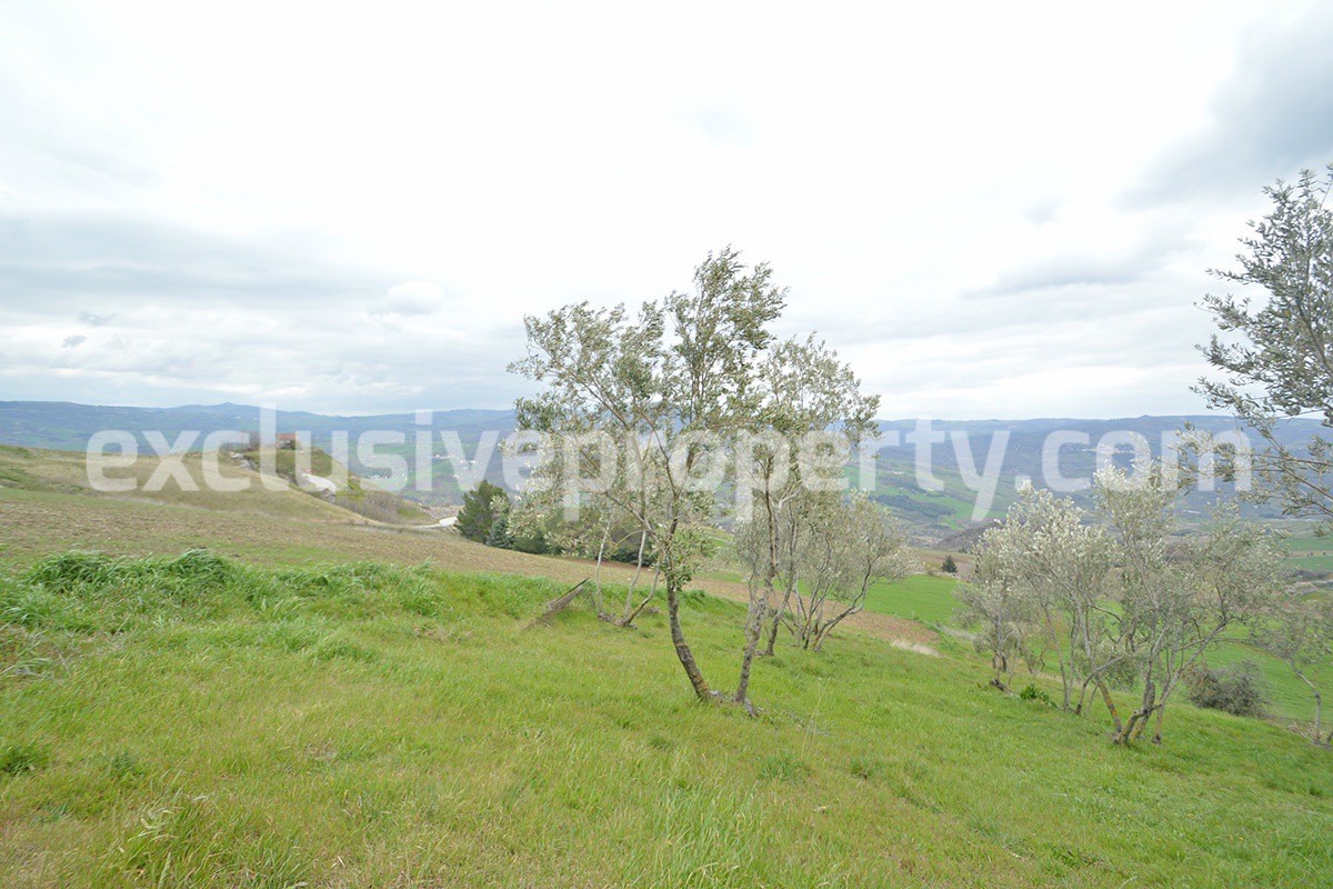 Country house with 4 hectares of land 1 of which building for sale in Italy 9
