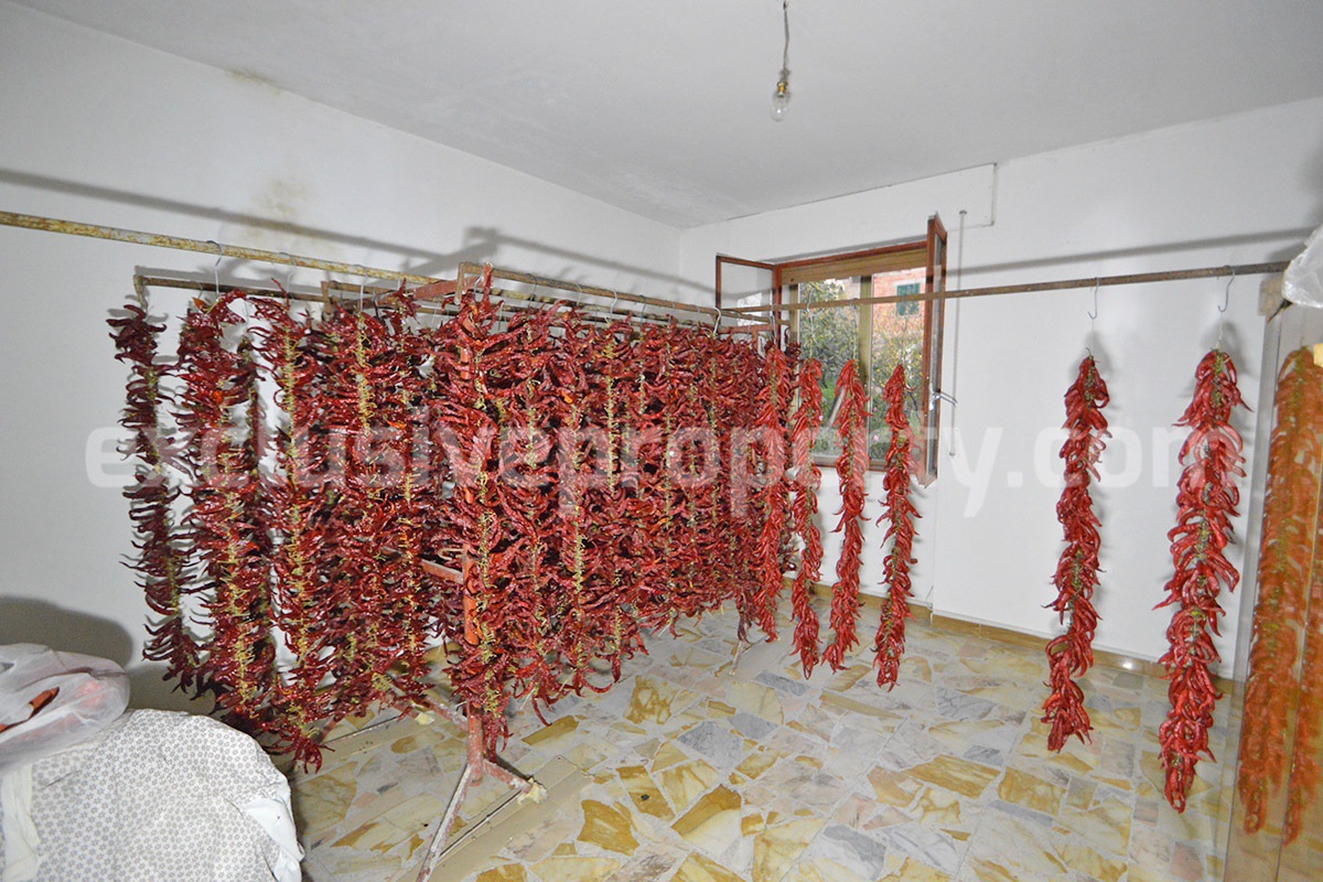 Move-In Ready Home with Garage - Garden and Large Outdoor Terrace for Sale in Carunchio in Abruzzo