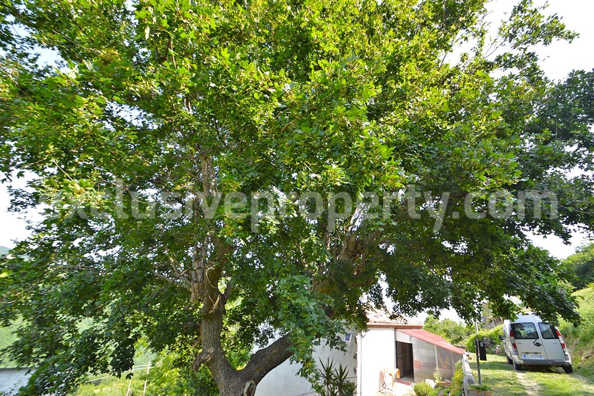 Rustic Stone House for Sale in Central Italy - Abruzzo -  Renovated - Panoramic Views - Great Value