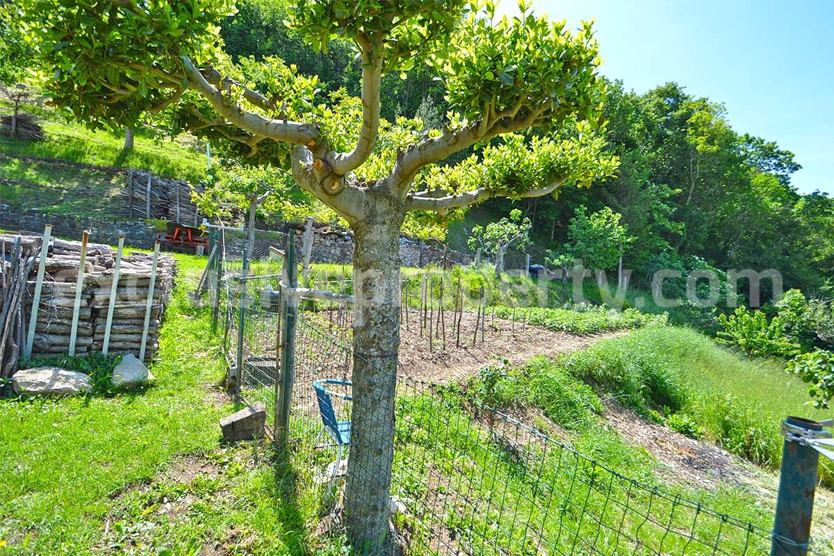 Beautiful Stone House for Sale in Abruzzo - Central Italy - Panoramic Views - Garden and Great Value