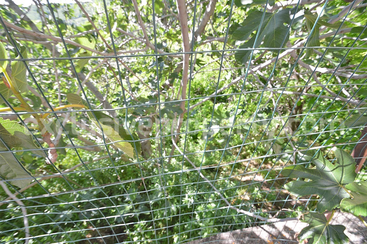 Affordable One-Bedroom House for Sale in Abruzzo - Italy - Garden - Scenic Views - Close to the Sea