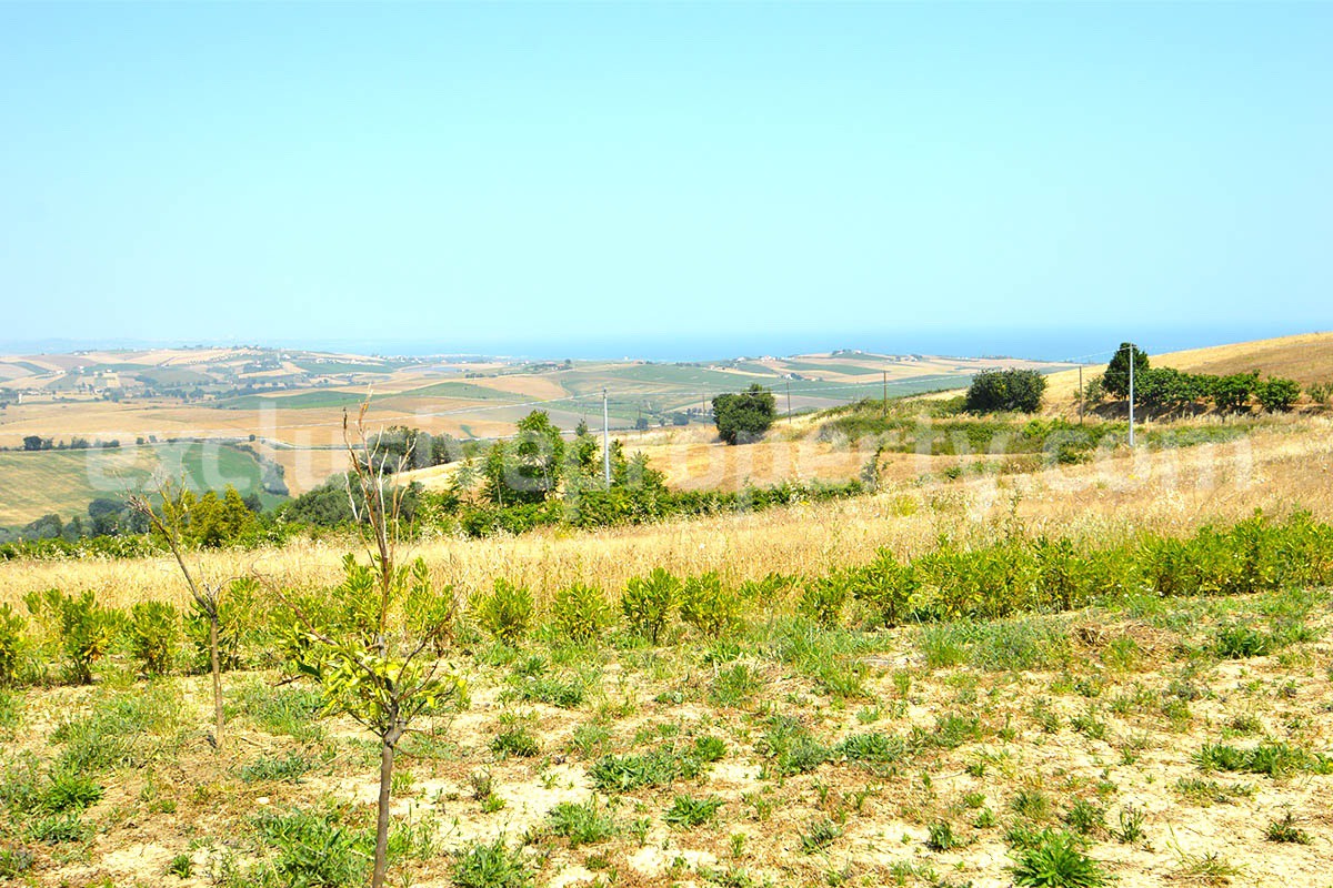 Exclusive Sea View Villa for Sale in Italy - Eco-Friendly Home with Land and Olive Trees in Petacciato - Molise