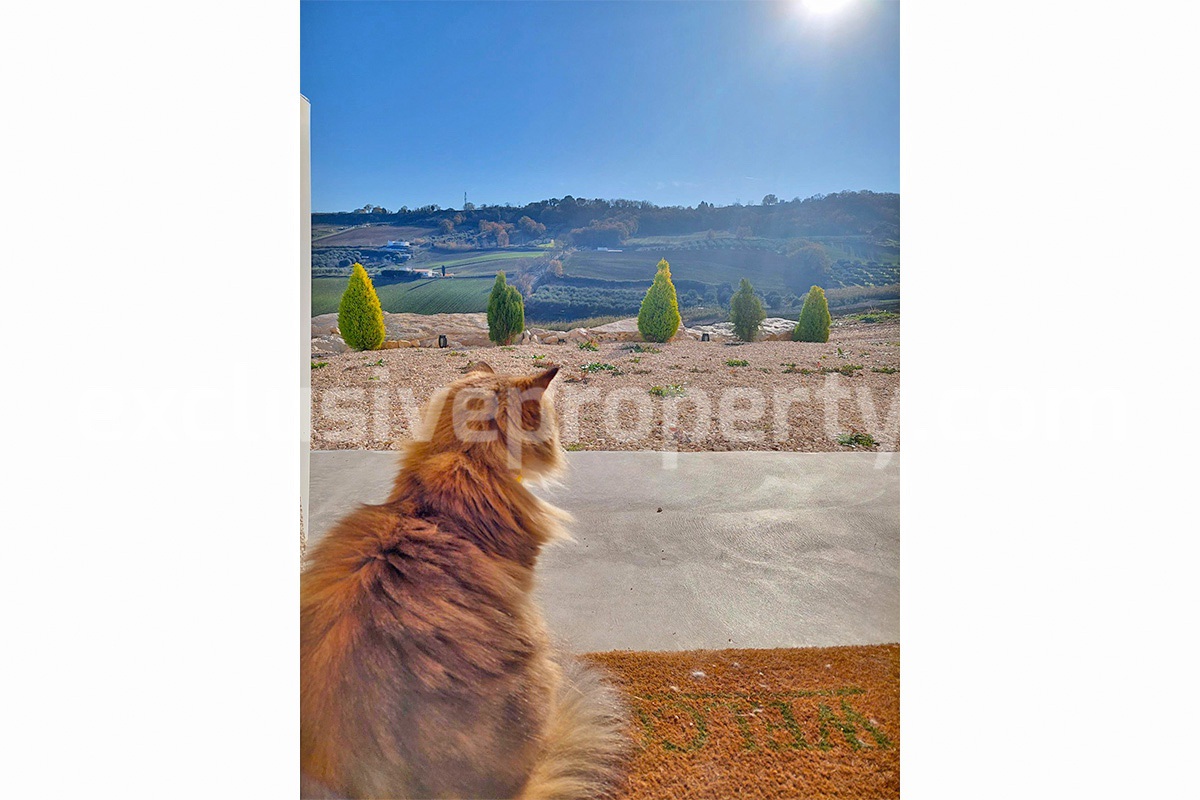 Exclusive Sea View Villa for Sale in Italy - Eco-Friendly Home with Land and Olive Trees in Petacciato - Molise