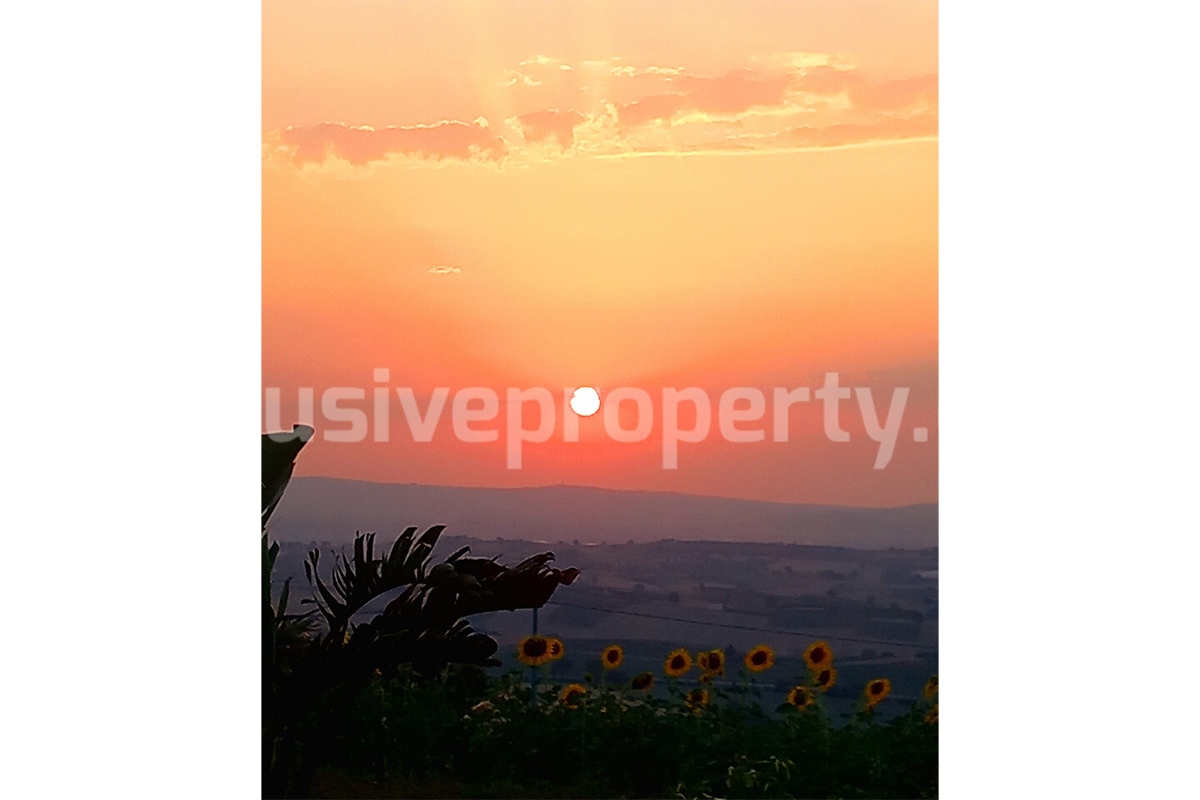 Exclusive Sea View Villa for Sale in Italy - Eco-Friendly Home with Land and Olive Trees in Petacciato - Molise
