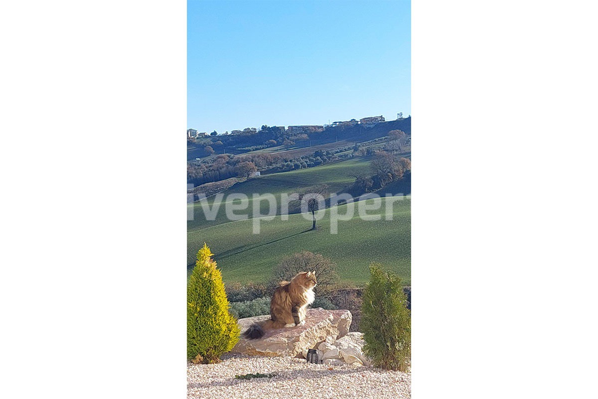 Exclusive Sea View Villa for Sale in Italy - Eco-Friendly Home with Land and Olive Trees in Petacciato - Molise