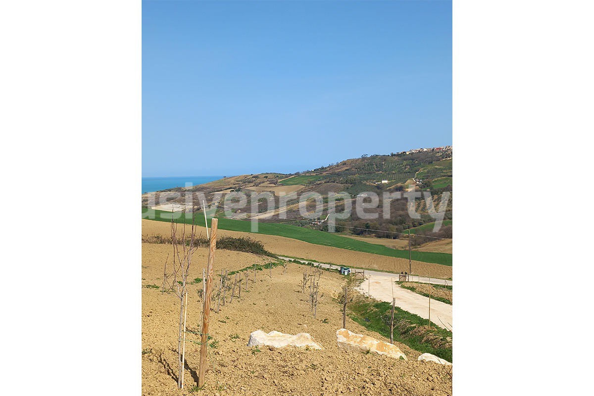Exclusive Sea View Villa for Sale in Italy - Eco-Friendly Home with Land and Olive Trees in Petacciato - Molise