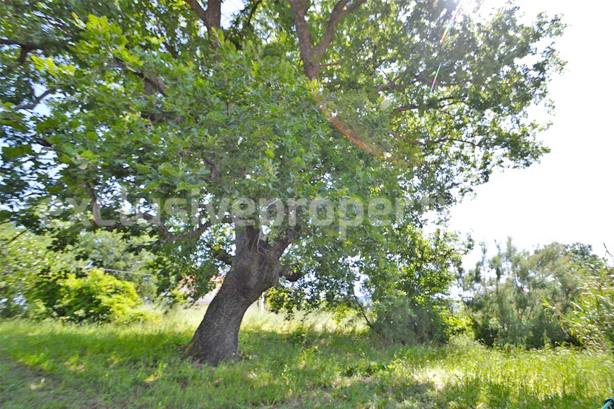 Two-Building Country Property for Sale in Roccaspinalveti - Abruzzo - Habitable Home - Renovation Project - Land and Majella Views
