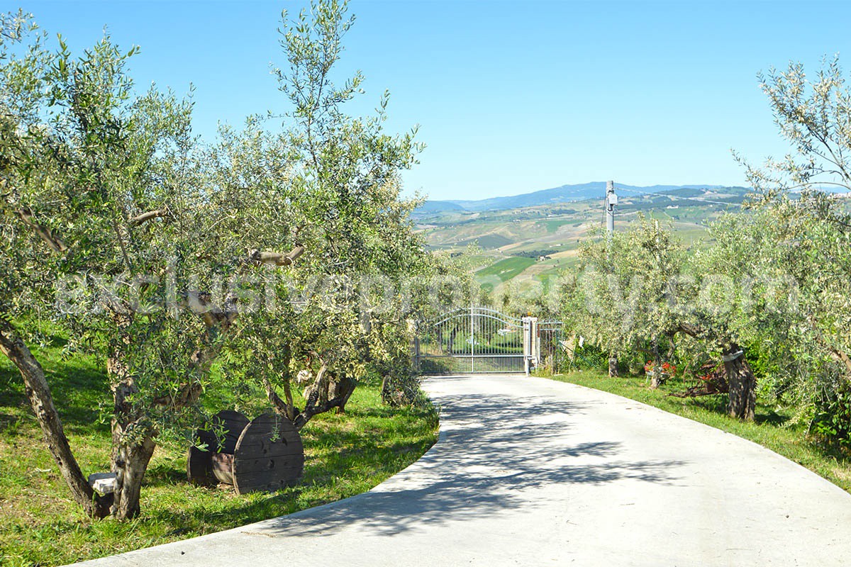 Dream Winery for Sale in Italy - Live and Work in a Stunning Vineyard Estate with Restaurant - Villa - Sea Views