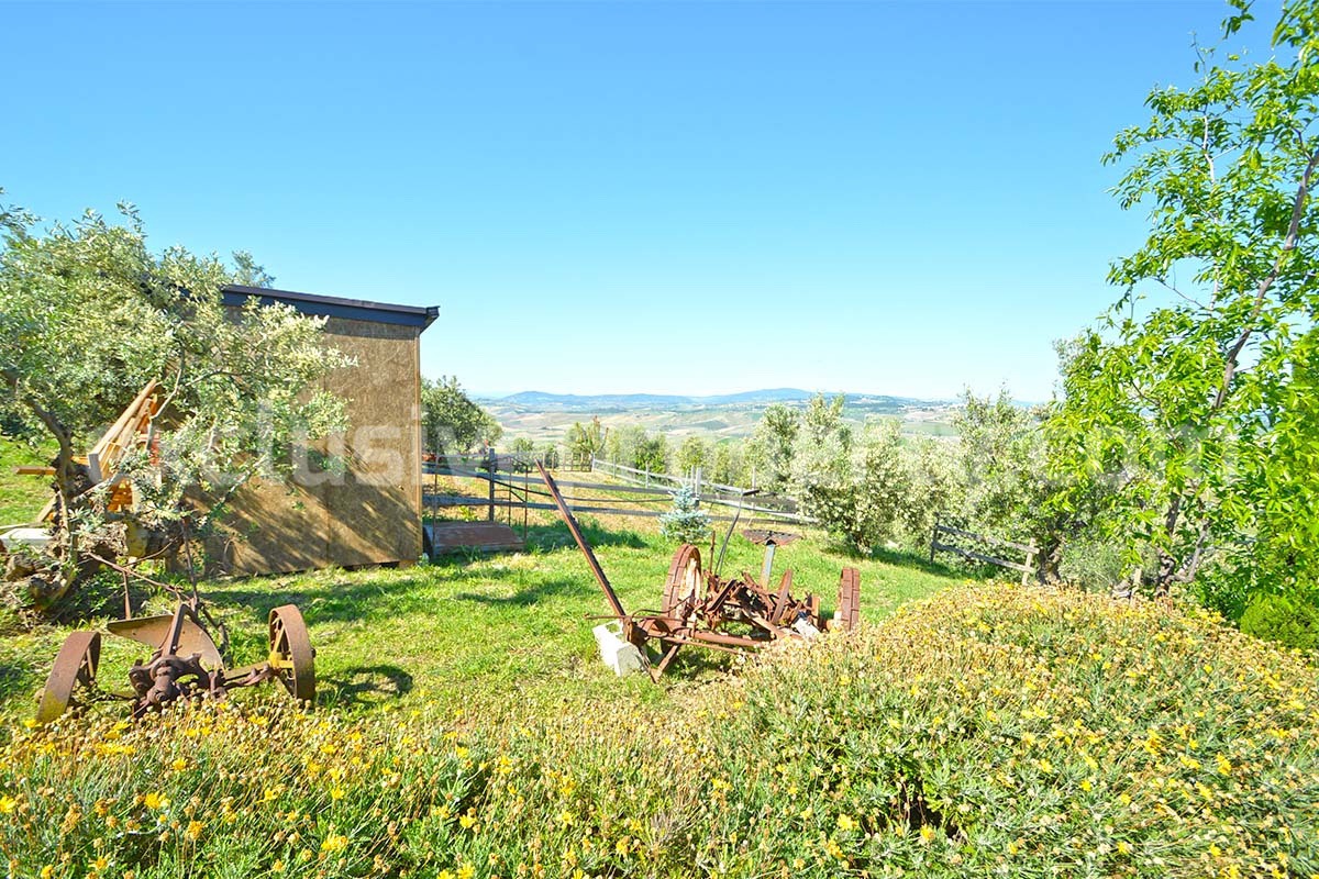 Dream Winery for Sale in Italy - Live and Work in a Stunning Vineyard Estate with Restaurant - Villa - Sea Views