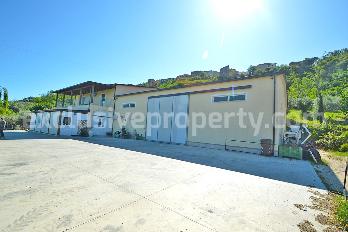 Dream Winery for Sale in Italy - Live and Work in a Stunning Vineyard Estate with Restaurant - Villa - Sea Views