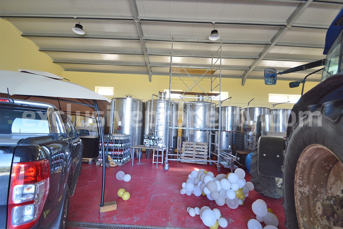 Dream Winery for Sale in Italy - Live and Work in a Stunning Vineyard Estate with Restaurant - Villa - Sea Views