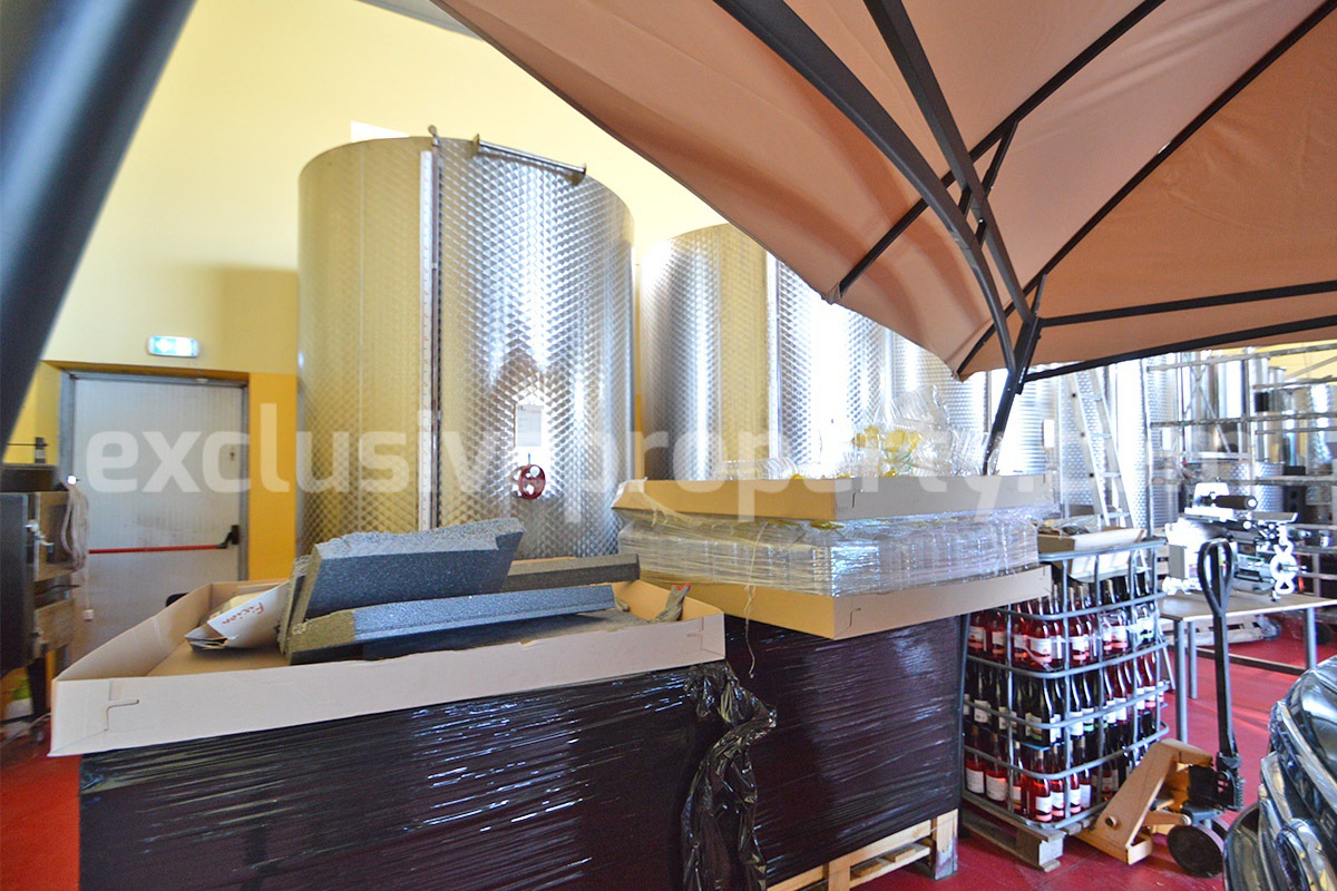 Dream Winery for Sale in Italy - Live and Work in a Stunning Vineyard Estate with Restaurant - Villa - Sea Views