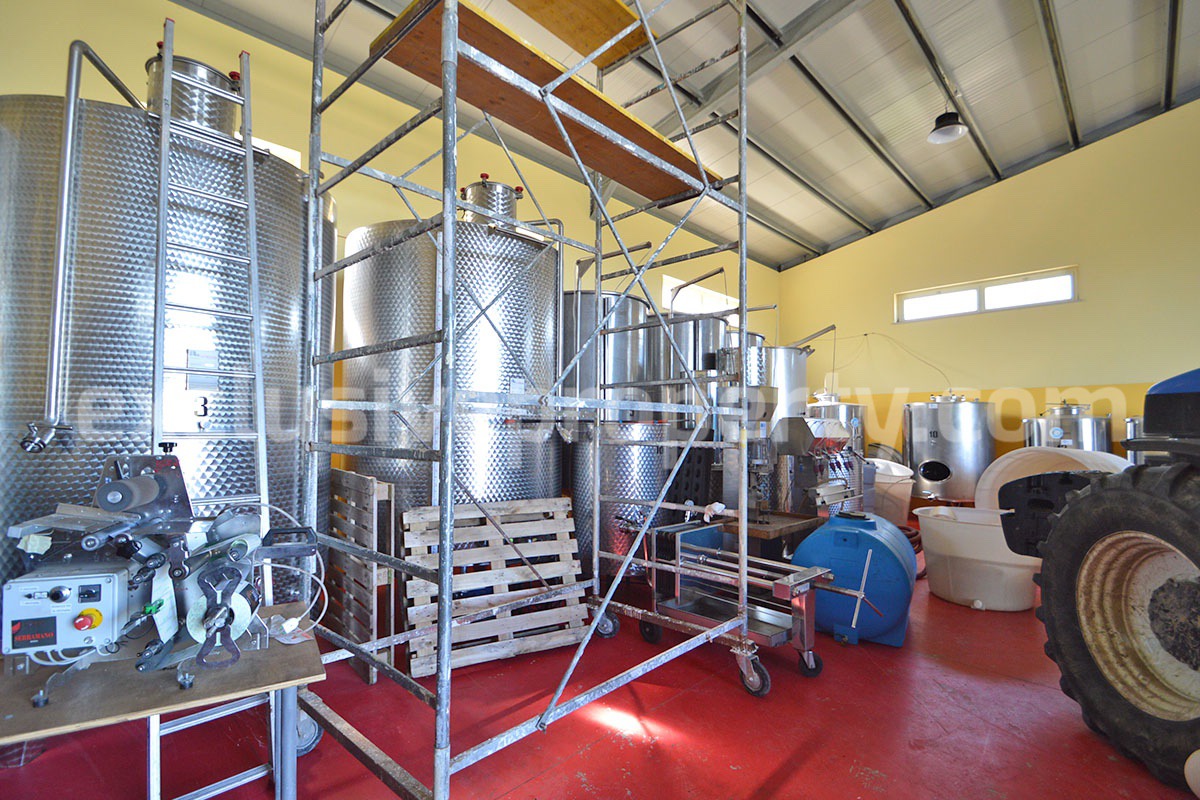 Dream Winery for Sale in Italy - Live and Work in a Stunning Vineyard Estate with Restaurant - Villa - Sea Views