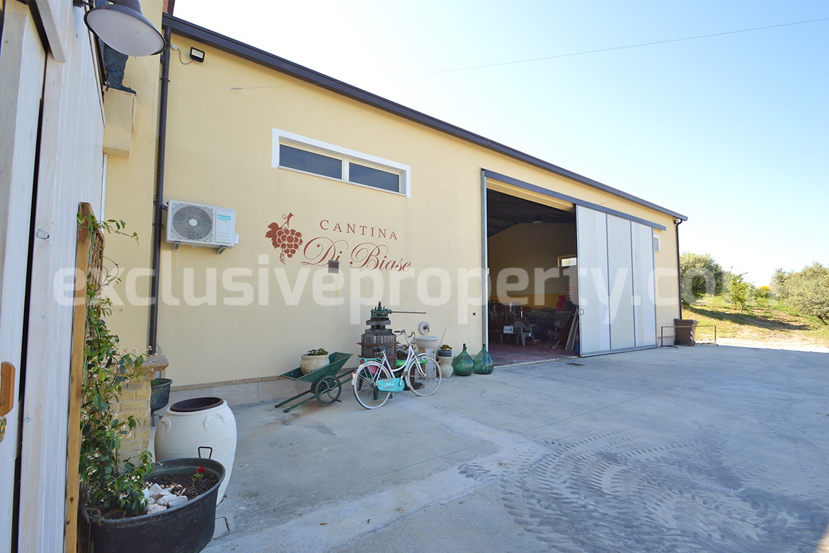 Dream Winery for Sale in Italy - Live and Work in a Stunning Vineyard Estate with Restaurant - Villa - Sea Views