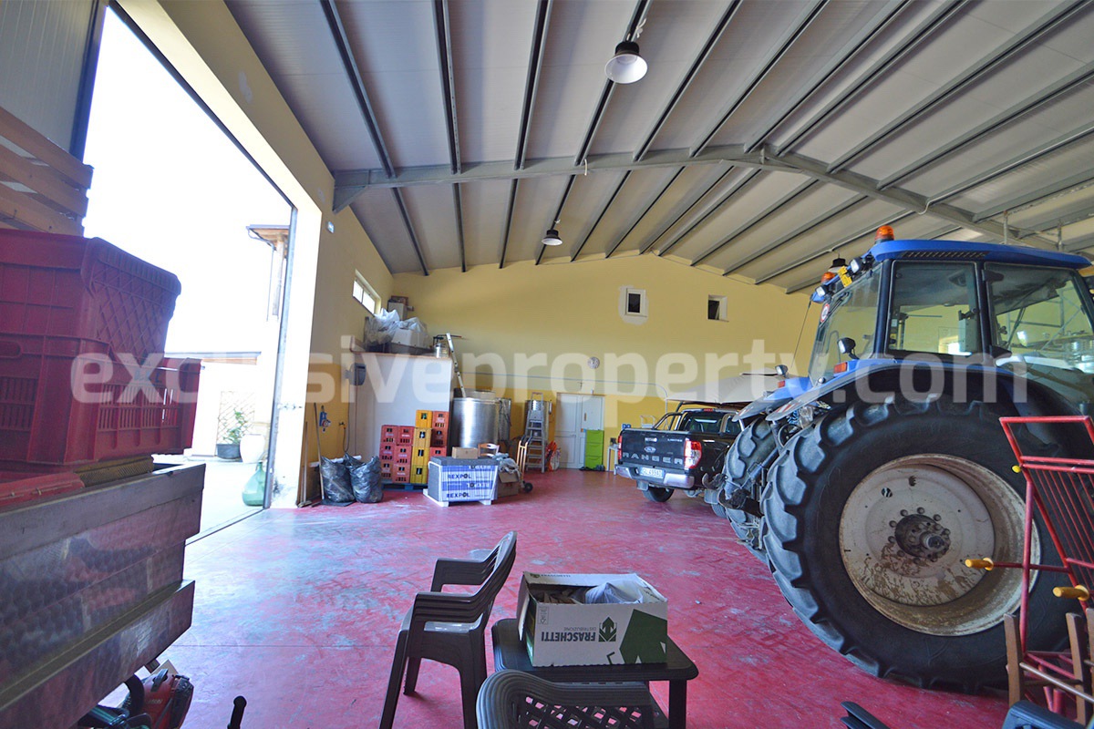 Dream Winery for Sale in Italy - Live and Work in a Stunning Vineyard Estate with Restaurant - Villa - Sea Views