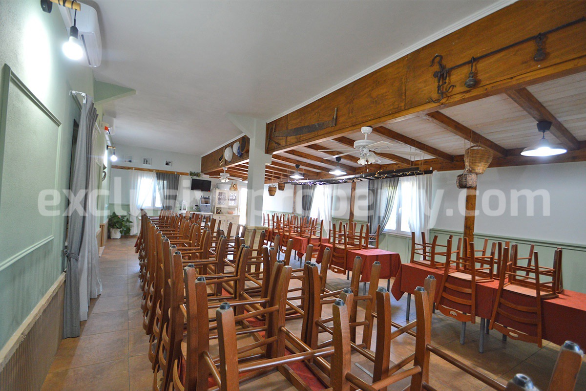 Dream Winery for Sale in Italy - Live and Work in a Stunning Vineyard Estate with Restaurant - Villa - Sea Views