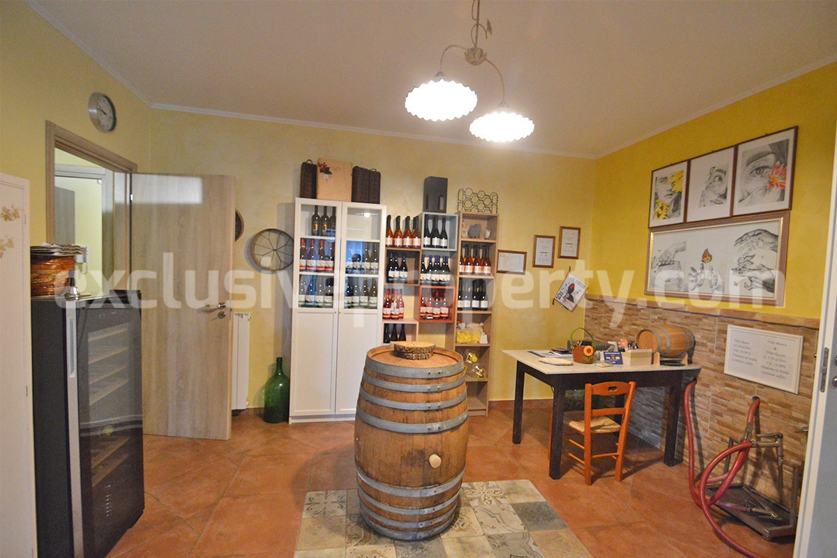 Dream Winery for Sale in Italy - Live and Work in a Stunning Vineyard Estate with Restaurant - Villa - Sea Views