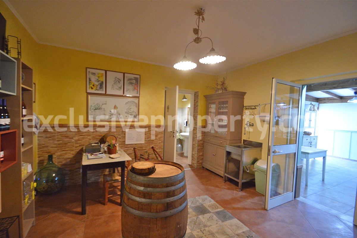 Dream Winery for Sale in Italy - Live and Work in a Stunning Vineyard Estate with Restaurant - Villa - Sea Views