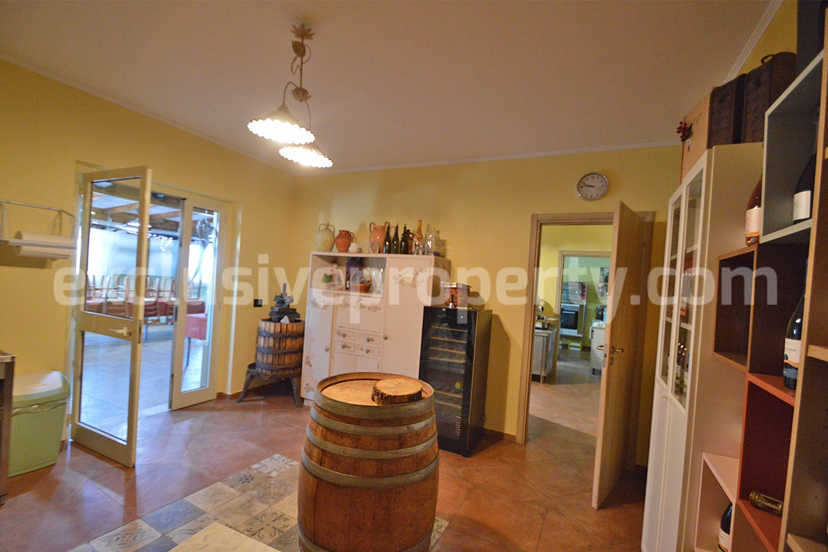 Dream Winery for Sale in Italy - Live and Work in a Stunning Vineyard Estate with Restaurant - Villa - Sea Views
