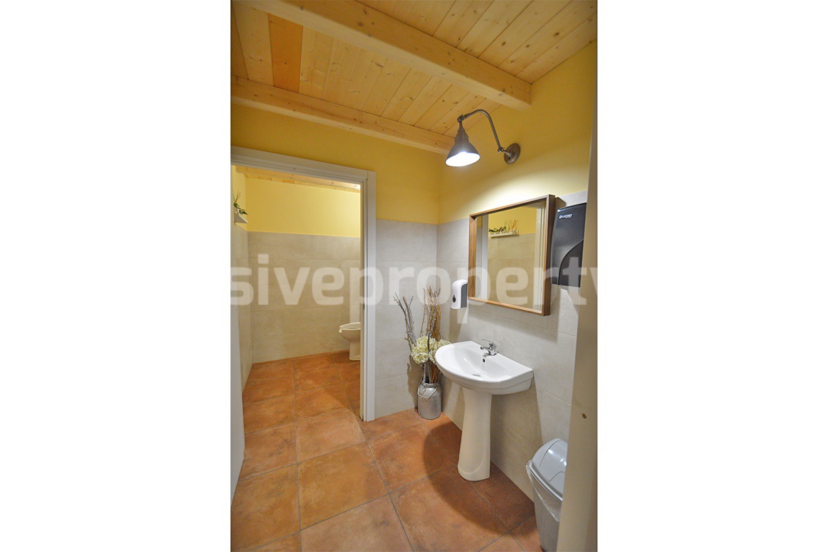 Dream Winery for Sale in Italy - Live and Work in a Stunning Vineyard Estate with Restaurant - Villa - Sea Views