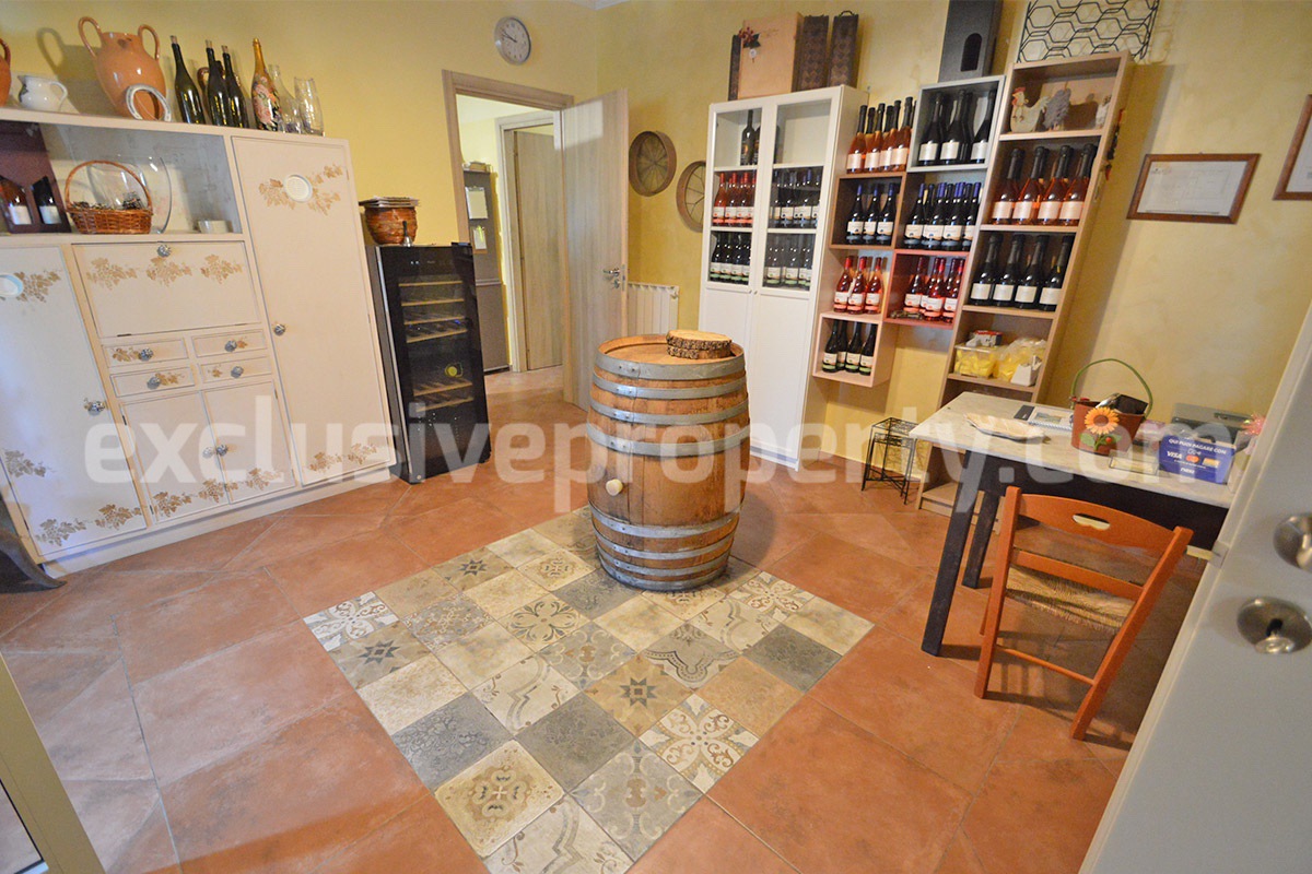 Dream Winery for Sale in Italy - Live and Work in a Stunning Vineyard Estate with Restaurant - Villa - Sea Views