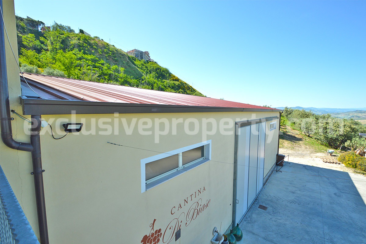 Dream Winery for Sale in Italy - Live and Work in a Stunning Vineyard Estate with Restaurant - Villa - Sea Views