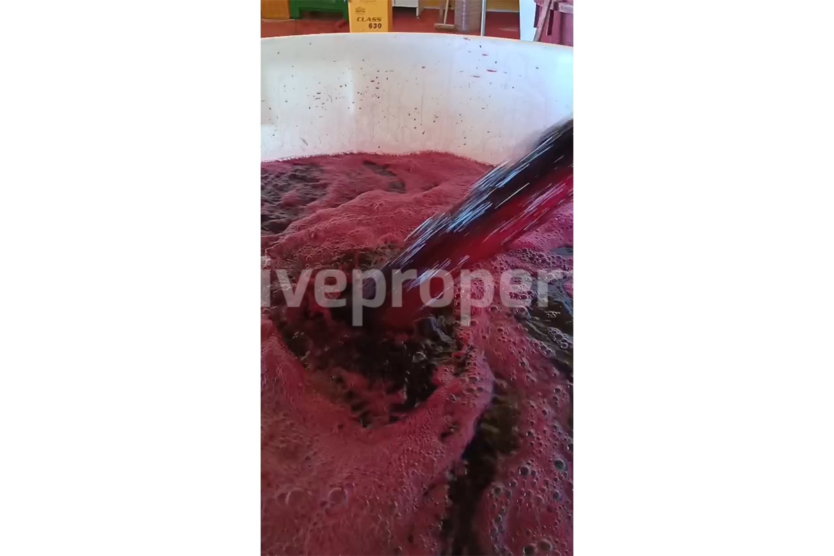 Dream Winery for Sale in Italy - Live and Work in a Stunning Vineyard Estate with Restaurant - Villa - Sea Views