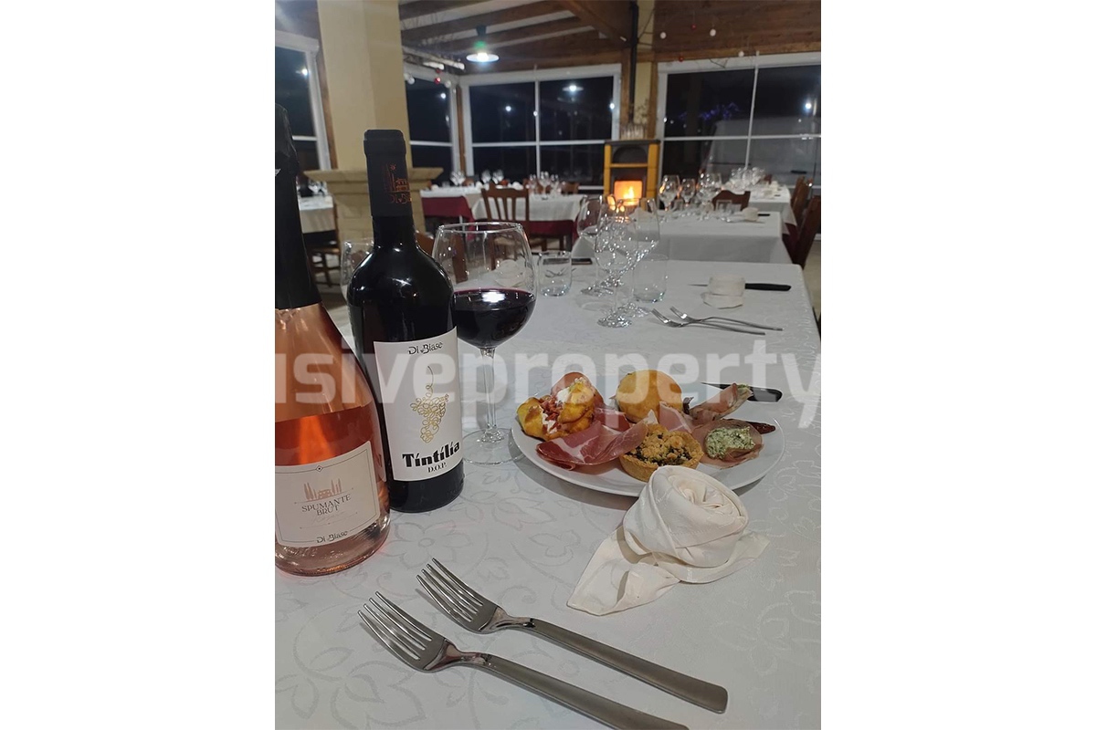 Dream Winery for Sale in Italy - Live and Work in a Stunning Vineyard Estate with Restaurant - Villa - Sea Views