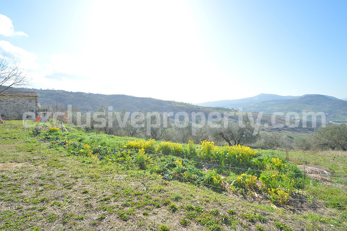 Farmhouse for Sale in Molise - Stone House with Olive Grove and Land in Italy