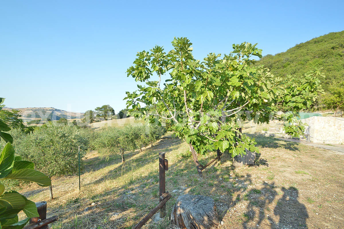 Renovated Stone House for Sale in Italy - Terrace and 5 Hectares of Land with Lake View in Casacalenda - Molise