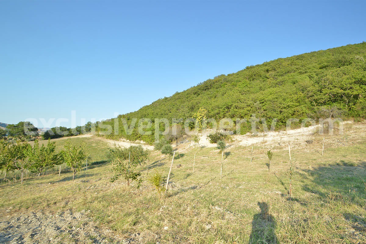 Renovated Stone House for Sale in Italy - Terrace and 5 Hectares of Land with Lake View in Casacalenda - Molise