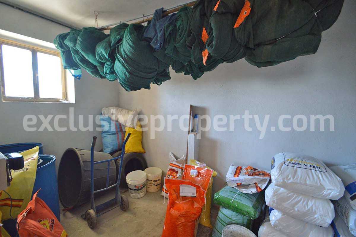 Spacious Country House for Sale in Tavenna - Molise Italy - Land with Olive Trees - Move-In Ready