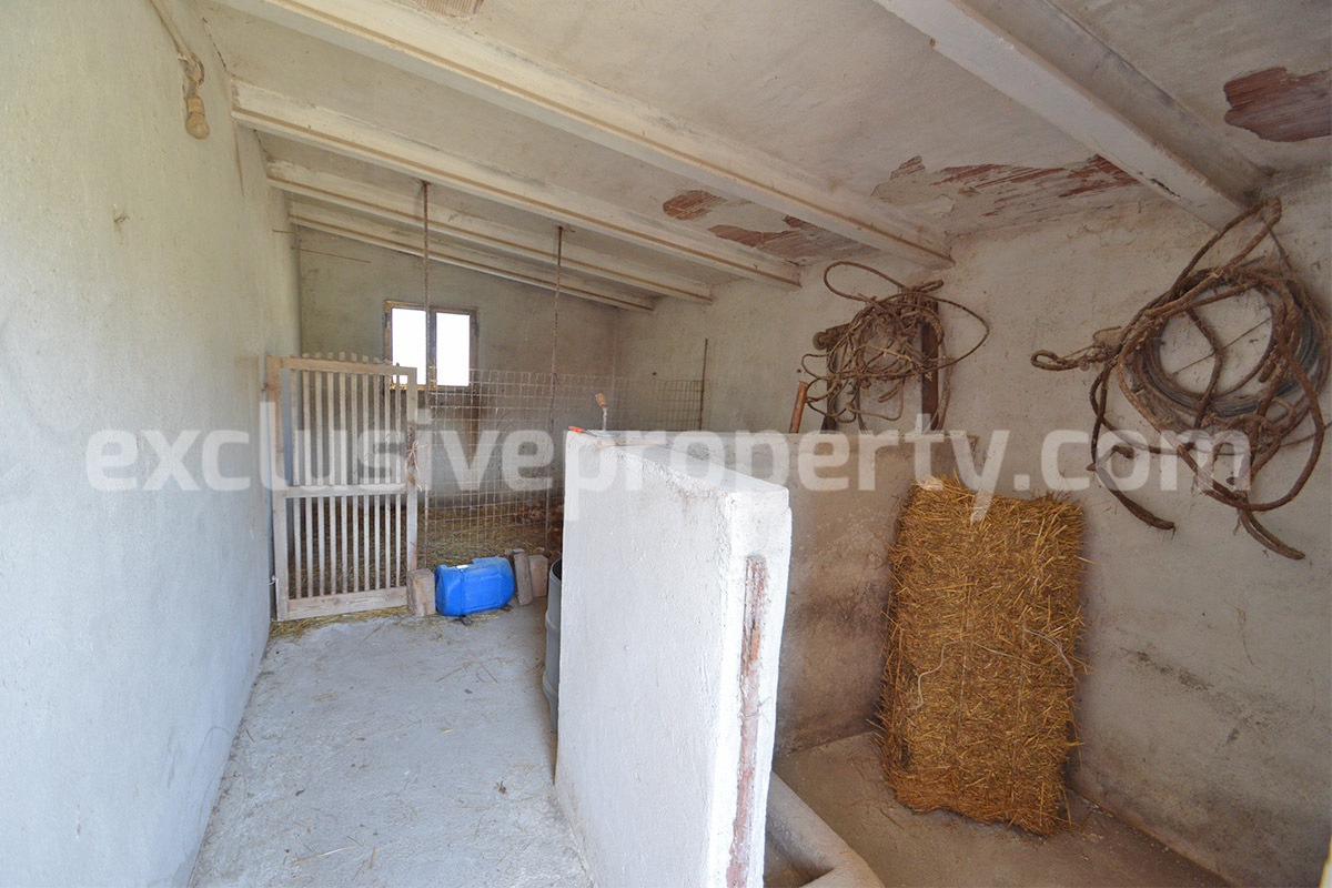 Spacious Country House for Sale in Tavenna - Molise Italy - Land with Olive Trees - Move-In Ready