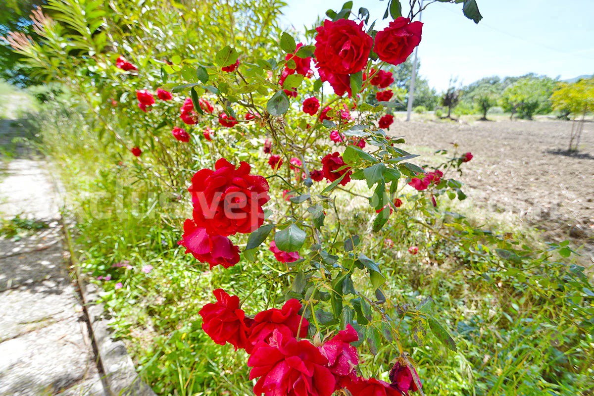 Authentic Italian Country House for Sale in Abruzzo - 260 sqm Home with Land - Garages and Panoramic Views