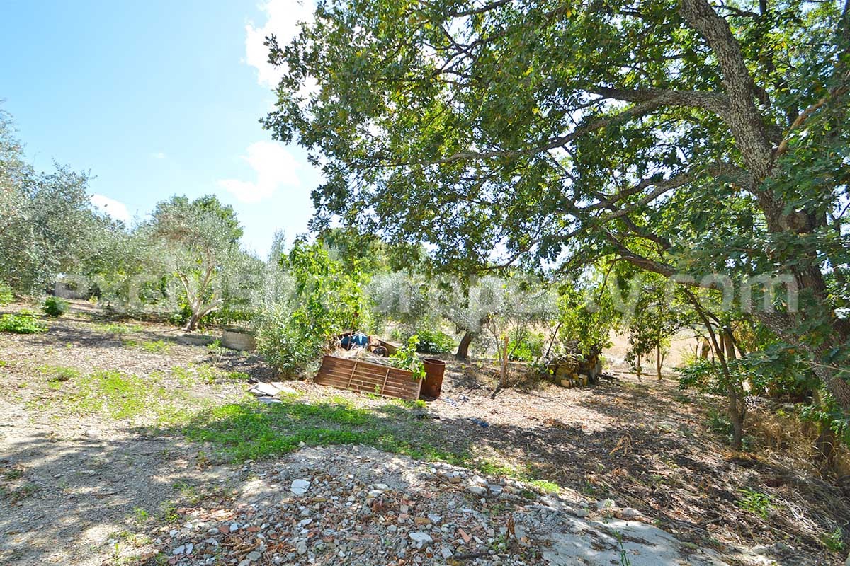 Farmhouse with 11 hectares for sale in Molise in Italy - Suitable for horses