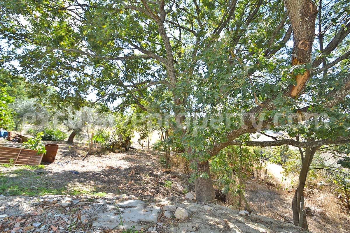 Farmhouse with 11 hectares for sale in Molise in Italy - Suitable for horses