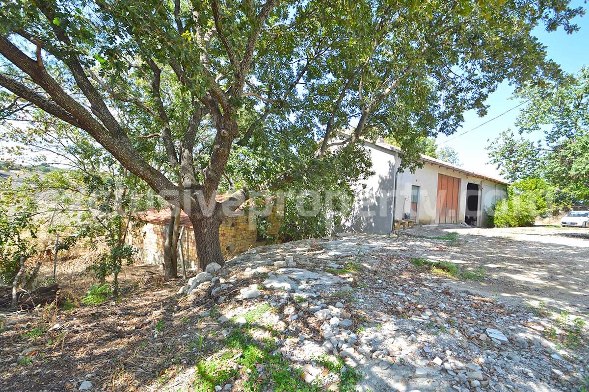Farmhouse with 11 hectares for sale in Molise in Italy - Suitable for horses