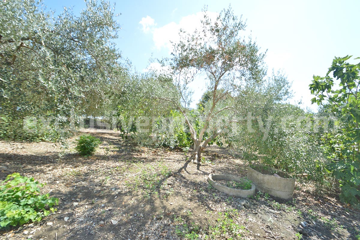 Farmhouse with 11 hectares for sale in Molise in Italy - Suitable for horses