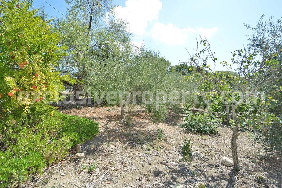 Farmhouse with 11 hectares for sale in Molise in Italy - Suitable for horses